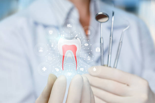  Roxboro, NC Dental Services Pros
